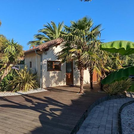 Guest House Au Milieu Des Palmiers Saint-Martin-de-Seignanx Eksteriør bilde